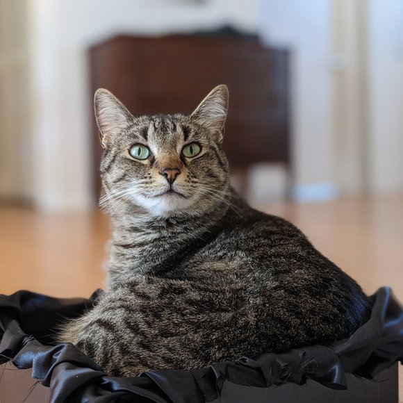 Meet your Posher, R. - Picture 8 of 11